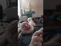 Pop's Life