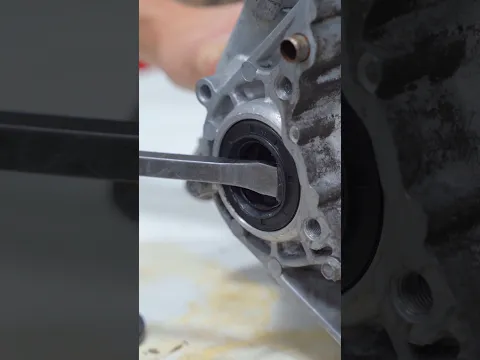 Nsx transmission refresh