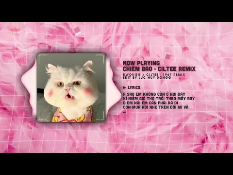 Chim Bao Dwongg x CilTeeRemix Version by 1 9 6 7 Audio Lyrics