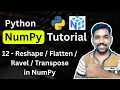 Python NumPy Tutorial 12 - Reshape vs Flatten vs Ravel vs Transpose in NumPy