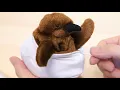 Penguin Chick Hatching Plush Toy Japanese Souvenir