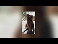 Download Lagu Hozier - From Eden (Sped up)