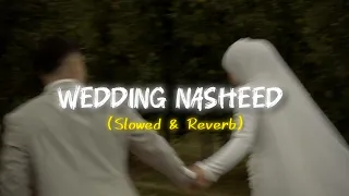 wedding nasheed slowed u0026 reverb muhammad al muqit without music