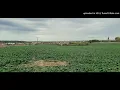 Sunny Lax - Alliance (Extended Mix)
