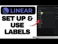 How to Set Up and Use Labels in Linear