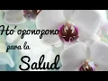 Download Lagu HOOPONOPONO PARA LA SALUD con AFIRMACIONES del \