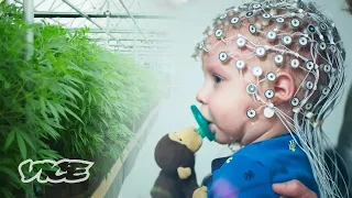 ¿La marihuana ayuda a los niños con autismo? | WEEDIQUETTE