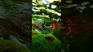 ويسقون فيها كأسا كان مزاجها زنجبيلا آيات من سورة الانسان بتلاوة الشيخ محمد اللحيدان Quran 