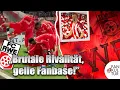 Download Lagu KRASSE FANS | KABINEN-ROOMTOUR | Ein Tag Fan von: FC Rot-Weiß Erfurt | Fußball-Stadion-Vlog 🏟️