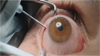 دخل دار مسنين ينضف خرج قاتل بعشر أرواح The Home ملخص كامل 