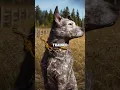 Download Lagu Far Cry Boomer's GOOD Hidden Secret (Explained).