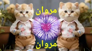 مروان مروان قلبى ياناس اغنية باسم مروان مروان اغنيه بأسم مروان اسم مروان مروان اسم مروان القطة 