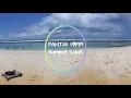 Download Lagu RUMPUT LAUT - PANTAI MIMPI