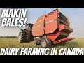 Download Lagu Baling The Last Field Of Hay!