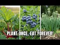 Download Lagu Plant These 9 Perennial Crops ONCE… and Harvest Forever!