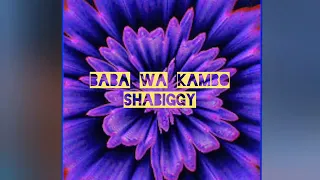 sha biggy baba wa kambo official music audio 
