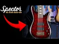 Download Lagu This NEW Spector Bass Might Be the Smartest Buy of 2025