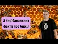 Еволюція та викопні рештки бджіл, не один вид, а 20 000, найбільша бджола на планеті