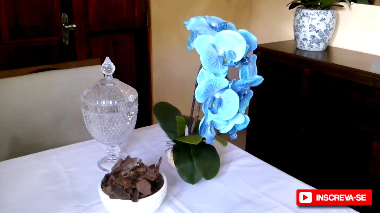 COMO FAZER ARRANJO COM ORQUÍDEA AZUL
