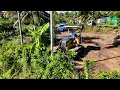 Download Lagu Good Pilot Skill D20P Bulldozer Clearing Pushing Forest In Land 50x150m To Building \u0026 Company