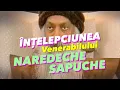 Download Lagu Înțelepciunea Venerabilului Naredeche Sapuche