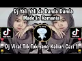 Download Lagu DJ YALI YALI DA DUMLA DUMLA DA | DJ MADE IN ROMANIA VIRAL TIK TOK TERBARU 2025