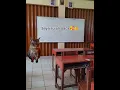 Baca bukan nyanyi🗿🫵#fypシ゚#viral#cat#kucing#kucinglucu#memekucing#memecat#shrots