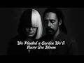 Download Lagu Sia ft. Damian Marley – We Planted a Garden We’ll Never See Bloom | Official AI Video