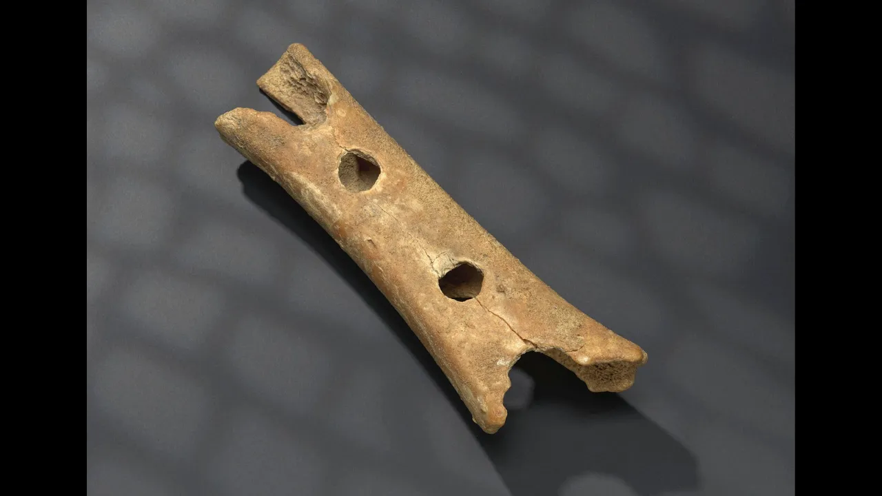 Neanderthal flute – the oldest musical instrument in the world