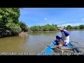 Download Lagu Fortune... only one spot, fish strike after fish, until you run out of bait
