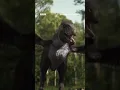 Lagu Walking With Dinosaurs - Official Trailer (2025) - BBC