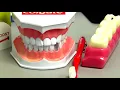 Bronx Now Hutchinson Metro Dental
