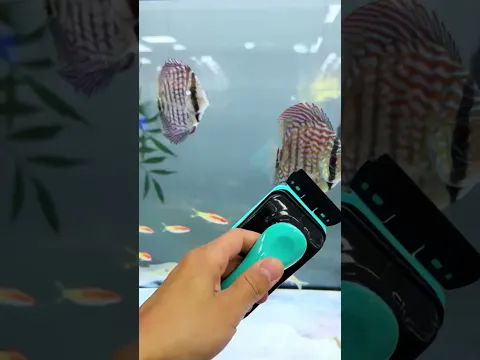 Who could say no to such a handy fish tank cleaning tool?