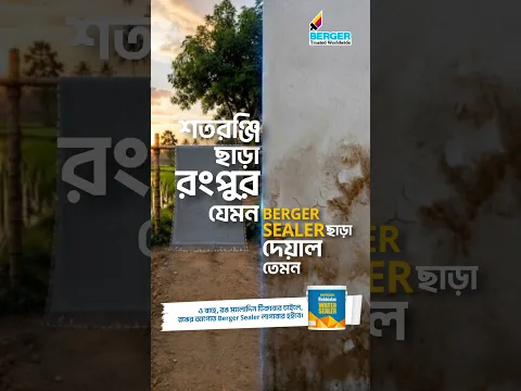 রঙ খসে পড়া থেকে দেয়ালকে বাঁচাতে রঙের আগে লাগান Berger Sealer