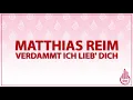 MATTHIAS REIM - VERDAMMT ICH LIEB DICH (KARAOKE/LYRICS)