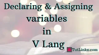 Declaring and Assigning Variables in V Language