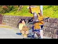#130 SAMURAI Statue Prank in Kyoto Japan | Awesome Shogun Mannequin prank reactions Kiyomizu Temple