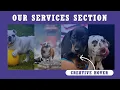 How To Make Creative Our Services Section Website Design HTML CSS Creative Card Hover Effects