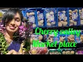 Cherry Valley Market place Long Island New York Mini s little world