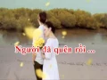 Download Lagu LOI ANH HUA   LUU ANH LOAN