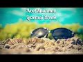Noel Kharman - Lazemni Break | Summer song
