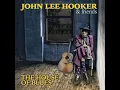 Blues Overtook Me (Remastered)
