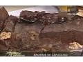 Download Lagu Palmirinha - Brownie de Capuccino - Tv Culinária 2007