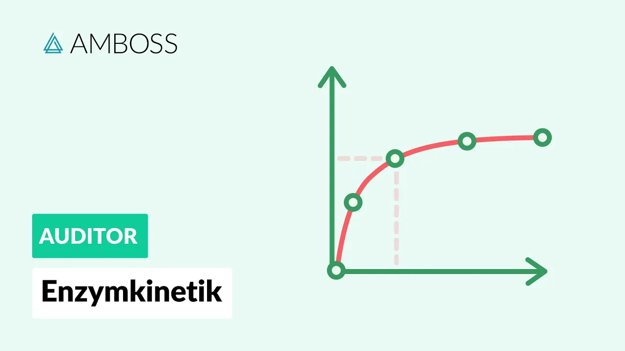 Enzymkinetik - Wie schnell kann ein Enzym arbeiten? AMBOSS Auditor