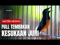 Lagu MURAI BATU GACOR FULL ISIAN TEMBAKAN MEWAH AMPUH MELATIH MURAI BATU BONGKAR ISIAN