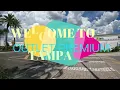 Walking in Tampa Premium Outlets - Tampa Florida USA