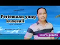 Lagu Pertemuan yang kusesali Mansyur s cover by paskabo
