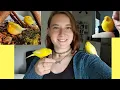 Download Lagu How to possibly tame canaries