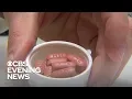 Mylan expands nationwide recall for blood pressure medication