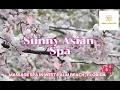 Relax Recharge at Sunny Asian Spa West Palm Beach FL